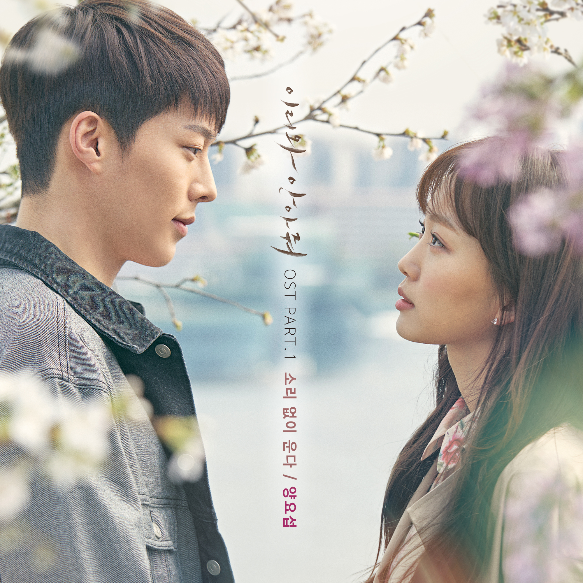 2460904 KLyrics For You