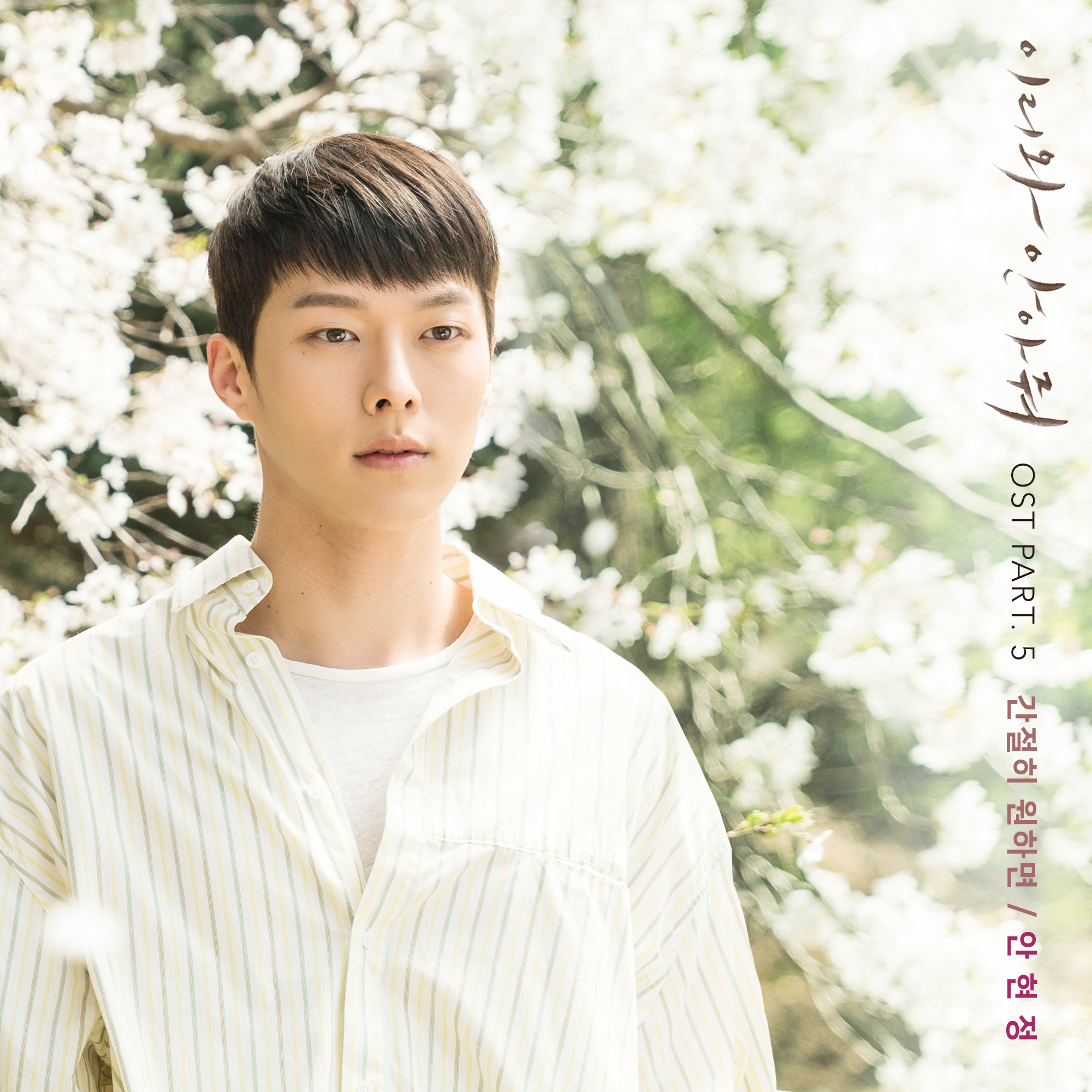 2481393 KLyrics For You