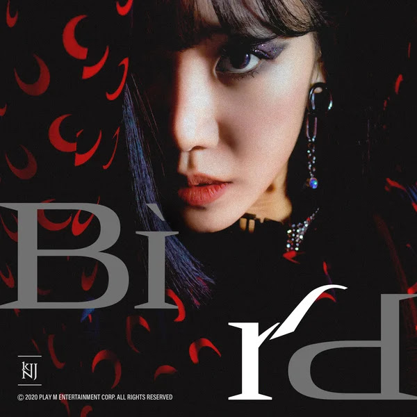 Kim Namjoo Bird KLyrics For You