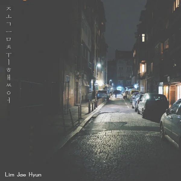 Lim Jae Hyun I27m a Little Drunk KLyrics For You