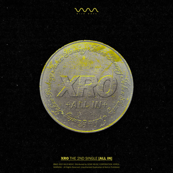 XRO ALL IN Single KLyrics For You