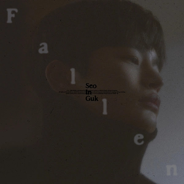 seo in guk fallen KLyrics For You