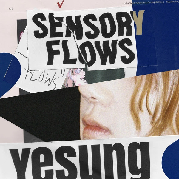 yesung sensory flows 4 KLyrics For You